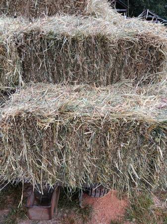 Square bales 1