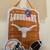Texas Longhorn Team Spirit Door Decor 1 thumbnail