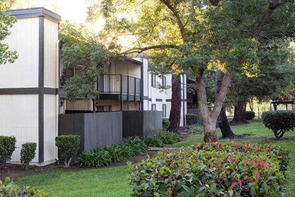 Free Weights, Vinyl Plank Flooring, 1B/1B 1