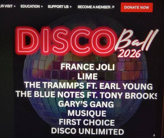 Disco Ball 2026 1