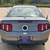 2010 Ford Mustang GT Premium - ONLY 100K MILES - Financing Available 3 thumbnail