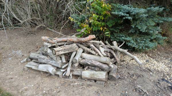 Free pile of wood 1