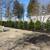 EVERGREEN SCREENING. HEDGES, PRICACY WALLS ETC 11 thumbnail