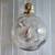 Sea Shells in Bottles 4 thumbnail