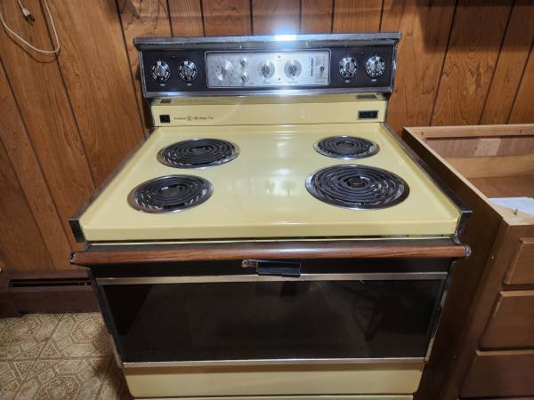 Old Appliances mint and working Stove Fridge and dishwasher 1