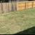 🔰🔰 TOP LAWN SERVICE AND TREES🔰🔰 6 thumbnail