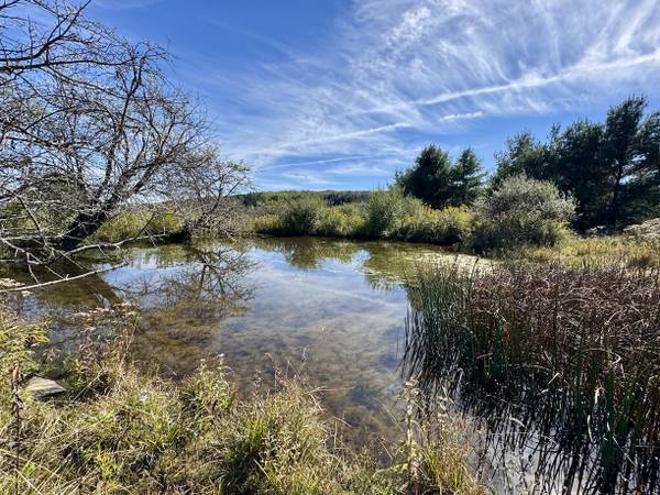 $234,900 / 400ft2 - 99 acres WOODS and TILLABLE LAND with CABIN and POND in Belfast NY (Belfast, NY)63986350338690124