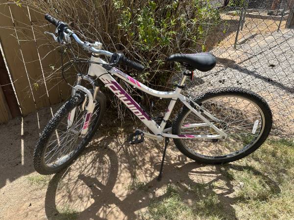 Mountain bike 1