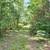 Vacant Land in Land O Lakes ~ Eliason Realty ~ MLS # 213899 9 thumbnail