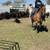 13 yo Rope Horse 3 thumbnail