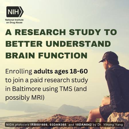 Join a Research Study and Help Us Better Understand Brain Functions! 1