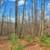 24+ Ridge-top Acreage #875 19 thumbnail
