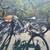 Rad city 5 plus electric bike 23 thumbnail
