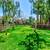 Lots of space! 768 sqft, 1 bed, washer/dryer in unit, near everything 18 thumbnail