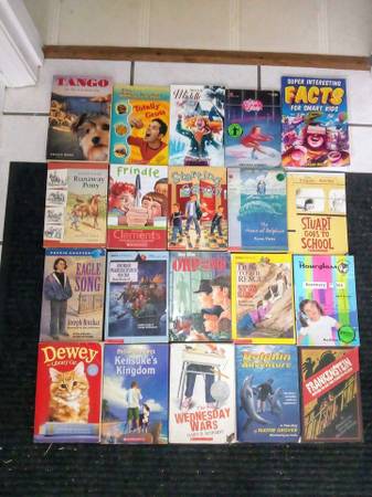 20 Kids CHAPTER Books Read Teacher Classroom 1