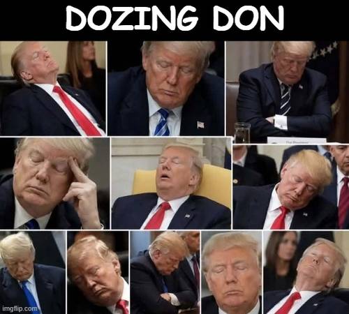 Dozing Don 1