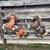 Vintage Plastic horses 1 thumbnail