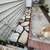 2” thick Quartzite pavers 1 thumbnail