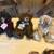 Bears Kymbearly's Collectable Bears 2 thumbnail