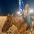 Red dun roan gelding 7 thumbnail