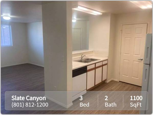 Amazing views, spacious 3 bed / 2 bath, great amenities, 1100 sq ft 1