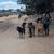 Dog Hiker Part Time to Full Time 2 thumbnail