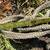 Military cargo net sling net heavy duty 3 thumbnail
