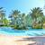 Live like you are always on vacation in Reunion 5BR/3BA $3,400/Month 21 thumbnail