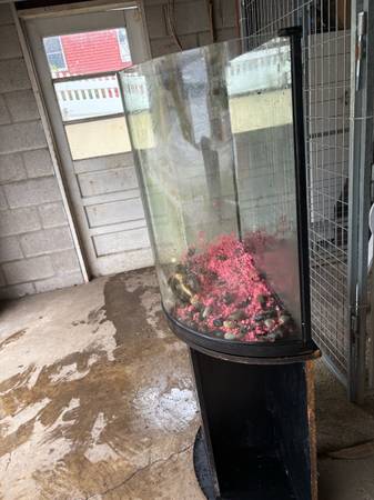 Fish tank (Pittsburgh)63882391435649122