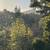 $3,200/ 1BR - SHORT TERM- 1Bdrm available now-Oct '26; Utilities inc 8 thumbnail