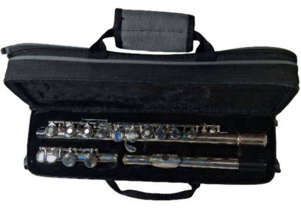 Flute Plays Great $35 1