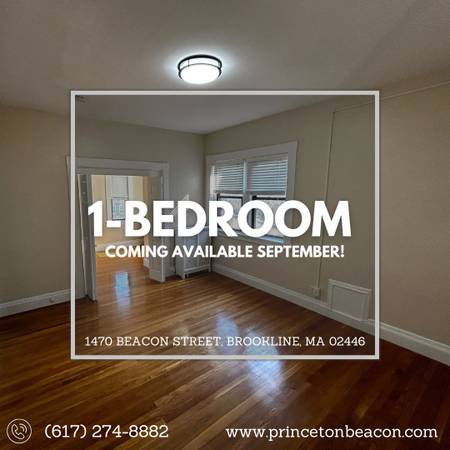 $2,799 / 1br - 460ft2 - Renovated, Top Floor 1-BEDROOM AVAILABLE NOW! $500 OFF 1st Month Rent! (Brookline)63699215393155120