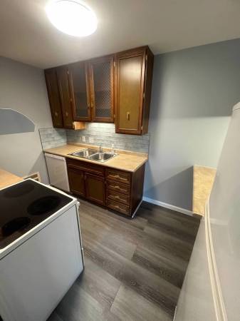 $1,195 / 2 hab - 1100 pies² - CONDO LIMPIO EN N. END: 2 dormitorios, 2 baños, suite principal, junto al lago, reformado (NORTH END PORT HURON)63882354138755123