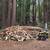 Tree work, CHIPPING, STUMP GRINDING, weed whacking, firewood, clearing 24 thumbnail