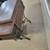 Vintage Peddle Sewing Machine 14 thumbnail