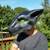 Halloween Head Mask Costume 1 thumbnail