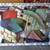 Mixed media painting (54"x42") "Circularity in Motion" by Richard Hall 7 thumbnail