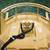 Skid Steer Loader Brush Cutter Pro X 5 thumbnail