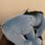 Eeyore Stuffed Animal 3 thumbnail