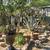 Ranch style casita on private, shaded courtyard 9 thumbnail