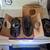 Speakers & subwoofer 2 thumbnail