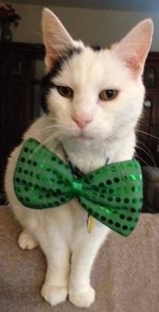 🌟 Personal Care Assistant Needed – $18.75/hr (IHSS/WPCS) 1