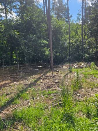 $16,900 0.6 acre lot for site built home near Lake Cypress Springs (Mount Vernon, TX)64037559801859120
