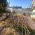 Roa Solution Demolition,Junk Removal 562-219-9266 5 thumbnail