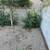Yard maintenance satisfation Guaranteed affordable and reasonable $ 14 thumbnail