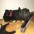 C2-C3 Corvette A/C compressor Assembly and blower motor 2 thumbnail