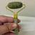 Jade Roller Massage Kit 4 thumbnail