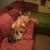 ***LONG TERM PET CARE IN MY HOME ON 5 ACRES **** 9 thumbnail