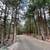 Recreational/Residential/Investment/ Cooperstown, NY Area 1 thumbnail