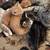 6 Kittens need there forever home 1 thumbnail